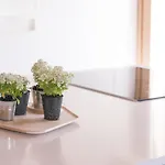 Gaiattone Eco