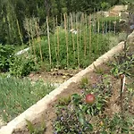 Gaiattone Eco Otel