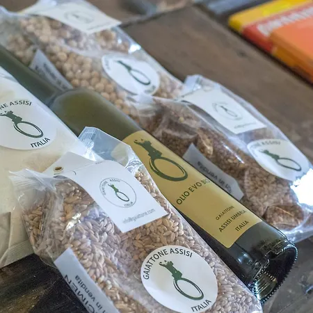 Hotel Gaiattone Eco 3*