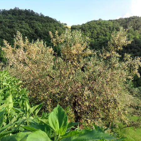 Gaiattone Eco Hotel Asyż