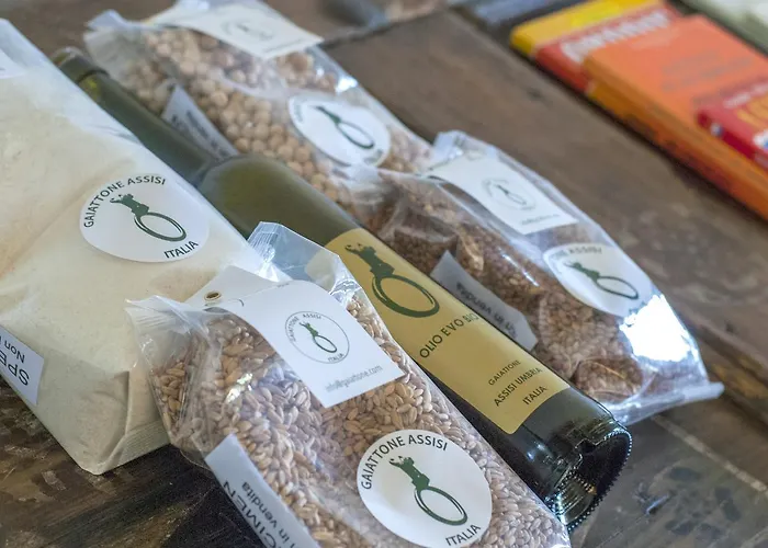 Hotel Gaiattone Eco 3*