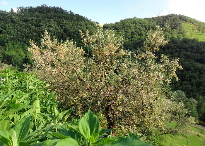 Gaiattone Eco Hotel Assisi