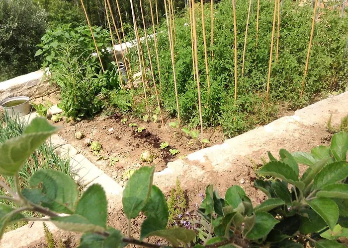 Hotel Gaiattone Eco 3*